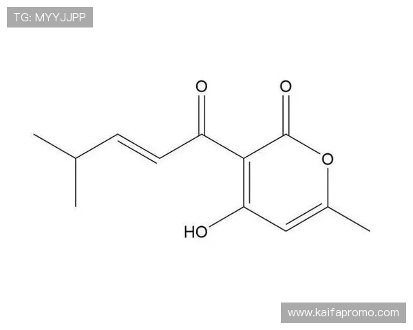 新手必看K8凯发真人版会员注册攻略，帮助你顺利成为平台正式会员